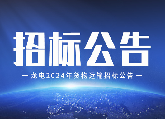 龍電2024年貨物運輸招標(biāo)公告